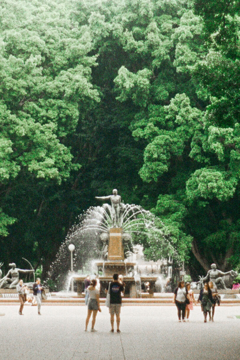 a sculptural fountain in the middle of tall dense green trees