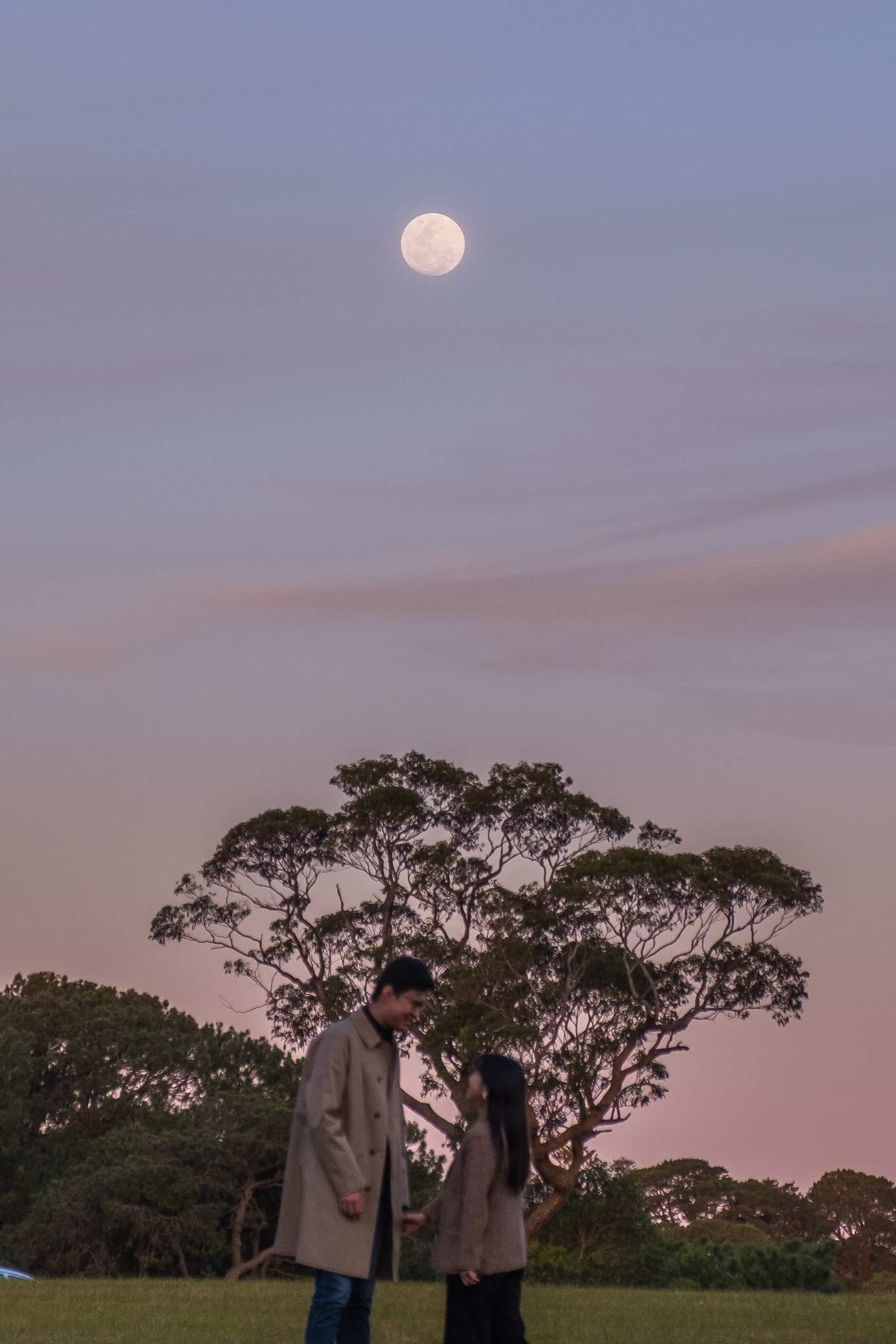 a couple standing below the moon during sunset