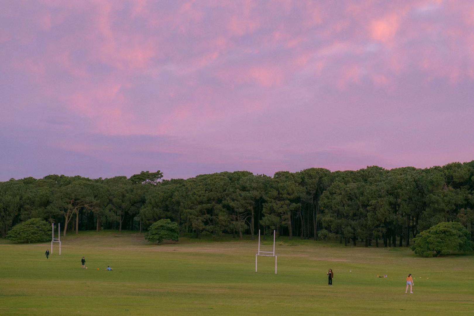 a far view of a purple and pink sunset in a green field